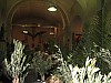 IMG_2181.jpg