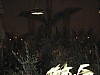 IMG_2186.jpg